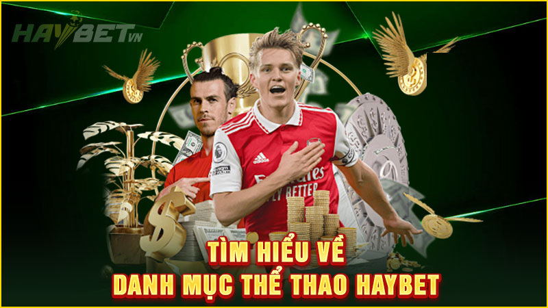 Tìm hiểu về danh mục thể thao haybet