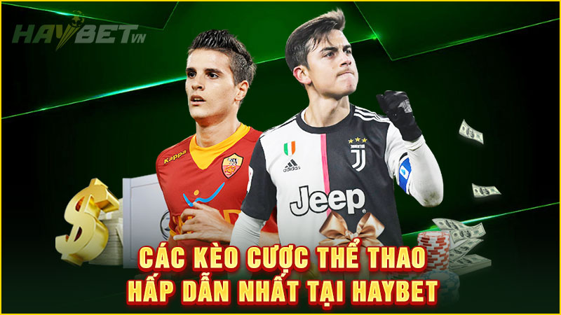 Các kèo cược thể thao hấp dẫn nhất tại haybet