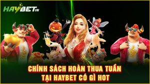 Chính sách hoàn thua tuần tại haybet có gì hot