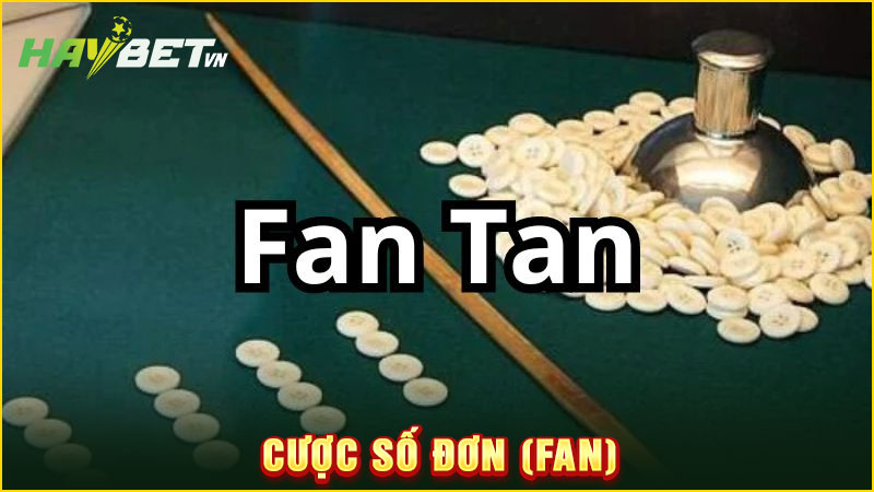 Cược số đơn (fan)