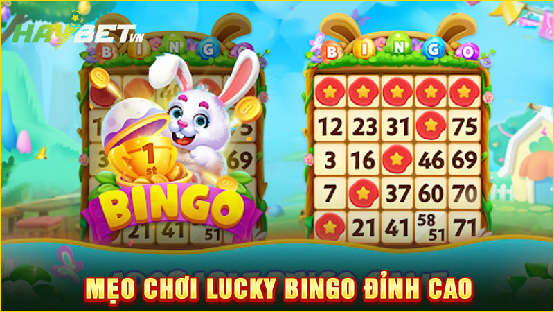 Mẹo chơi lucky bingo đỉnh cao