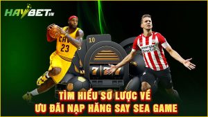 Tìm hiểu sơ lược về ưu đãi nạp hăng say sea game