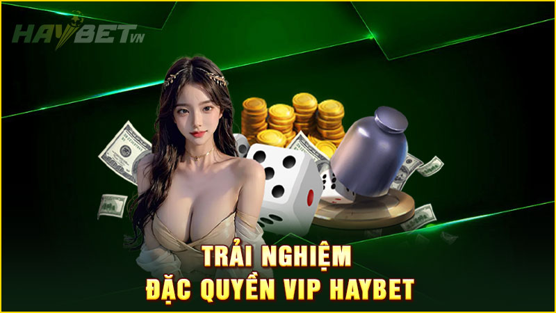 Trải nghiệm đặc quyền vip haybet